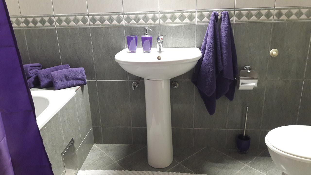 Ars Vip Apartment Novi Sad Exterior foto
